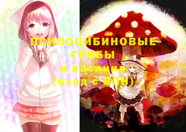 спайс Беломорск