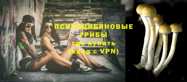 спайс Беломорск