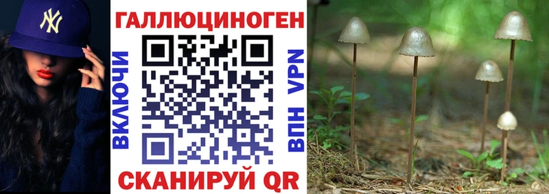 Галлюциногенные грибы Cubensis  Губкинский 